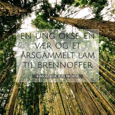 Picture 07 - 4 Mosebok 7:33 NORSK - en ung okse, en vær og et årsgammelt lam til - Bible Verse Picture