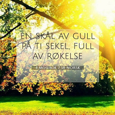 Picture 07 - 4 Mosebok 7:38 NORSK - en skål av gull på ti sekel, full av - Bible Verse Picture