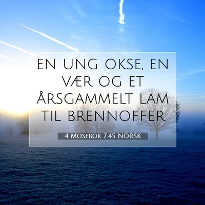 Picture 07 - 4 Mosebok 7:45 NORSK - en ung okse, en vær og et årsgammelt lam til - Bible Verse Picture