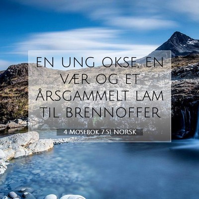 Picture 07 - 4 Mosebok 7:51 NORSK - en ung okse, en vær og et årsgammelt lam til - Bible Verse Picture