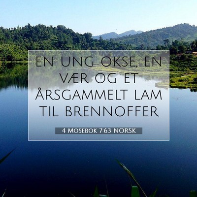 Picture 07 - 4 Mosebok 7:63 NORSK - en ung okse, en vær og et årsgammelt lam til - Bible Verse Picture