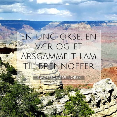 Picture 07 - 4 Mosebok 7:69 NORSK - en ung okse, en vær og et årsgammelt lam til - Bible Verse Picture