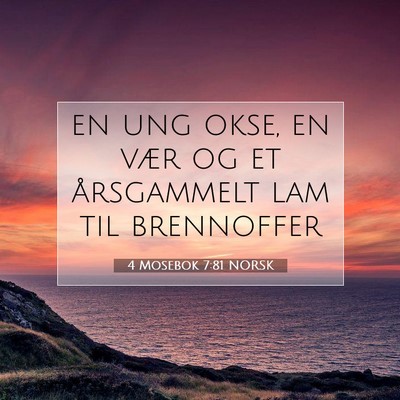 Picture 07 - 4 Mosebok 7:81 NORSK - en ung okse, en vær og et årsgammelt lam til - Bible Verse Picture