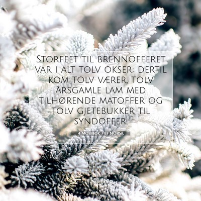 Picture 07 - 4 Mosebok 7:87 NORSK - Storfeet til brennofferet var i alt tolv okser; - Bible Verse Picture