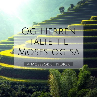 Picture 07 - 4 Mosebok 8:1 NORSK - Og Herren talte til Moses og - Bible Verse Picture