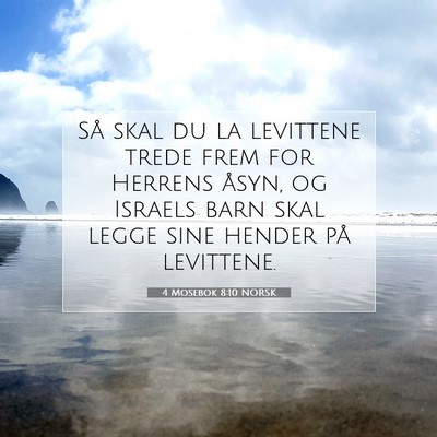 Picture 07 - 4 Mosebok 8:10 NORSK - Så skal du la levittene trede frem for Herrens - Bible Verse Picture