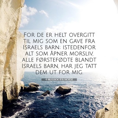 Picture 07 - 4 Mosebok 8:16 NORSK - For de er helt overgitt til mig som en gave fra - Bible Verse Picture