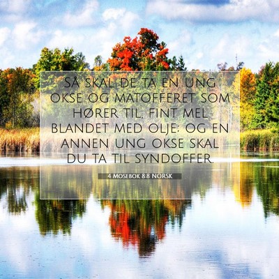 Picture 07 - 4 Mosebok 8:8 NORSK - Så skal de ta en ung okse og matofferet som - Bible Verse Picture