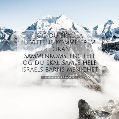Picture 07 - 4 Mosebok 8:9 NORSK - Og du skal la levittene komme frem foran - Bible Verse Picture
