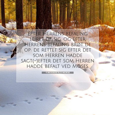 Picture 07 - 4 Mosebok 9:23 NORSK - Efter Herrens befaling leiret de sig, og efter - Bible Verse Picture
