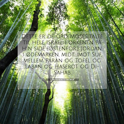 Picture 07 - 5 Mosebok 1:1 NORSK - Dette er de ord Moses talte til hele Israel i - Bible Verse Picture