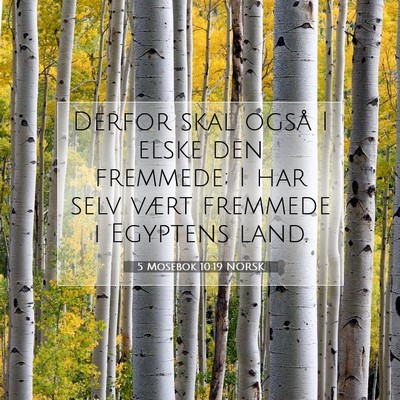 Picture 07 - 5 Mosebok 10:19 NORSK - Derfor skal også I elske den fremmede; I har - Bible Verse Picture
