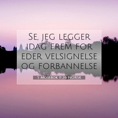 Picture 07 - 5 Mosebok 11:26 NORSK - Se, jeg legger idag frem for eder velsignelse og - Bible Verse Picture
