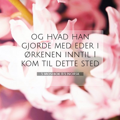 Picture 07 - 5 Mosebok 11:5 NORSK - og hvad han gjorde med eder i ørkenen inntil I - Bible Verse Picture