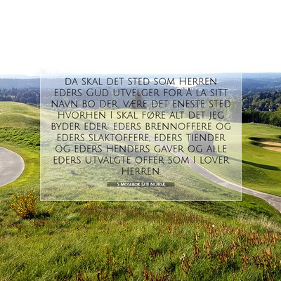 Picture 07 - 5 Mosebok 12:11 NORSK - da skal det sted som Herren eders Gud utvelger - Bible Verse Picture