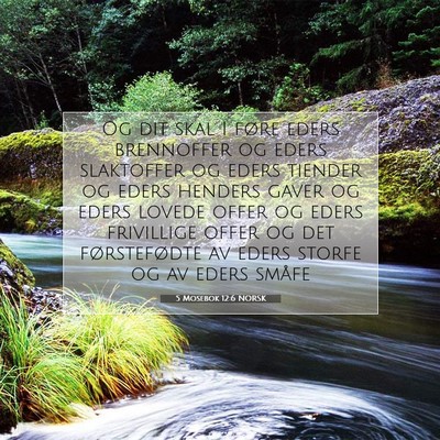 Picture 07 - 5 Mosebok 12:6 NORSK - Og dit skal I føre eders brennoffer og eders - Bible Verse Picture