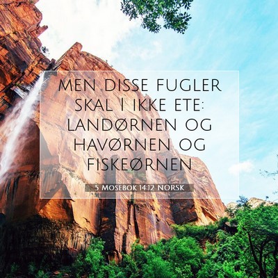 Picture 07 - 5 Mosebok 14:12 NORSK - men disse fugler skal I ikke ete: landørnen og - Bible Verse Picture
