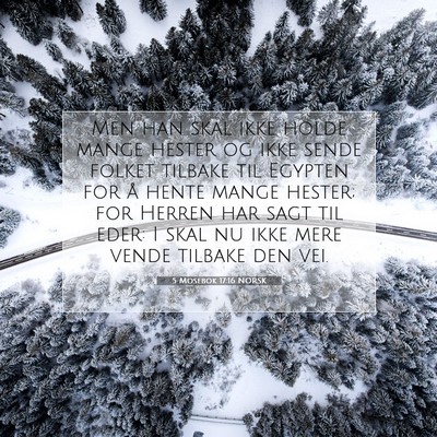 Picture 07 - 5 Mosebok 17:16 NORSK - Men han skal ikke holde mange hester og ikke - Bible Verse Picture