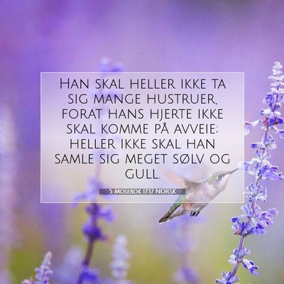 Picture 07 - 5 Mosebok 17:17 NORSK - Han skal heller ikke ta sig mange hustruer, forat - Bible Verse Picture