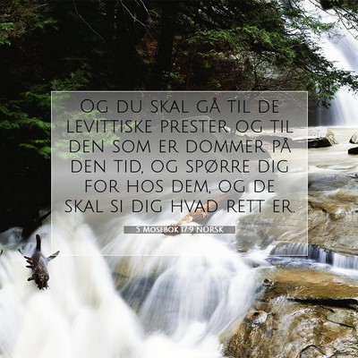 Picture 07 - 5 Mosebok 17:9 NORSK - Og du skal gå til de levittiske prester og til - Bible Verse Picture