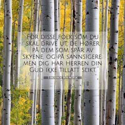 Picture 07 - 5 Mosebok 18:14 NORSK - For disse folk som du skal drive ut, de hører - Bible Verse Picture