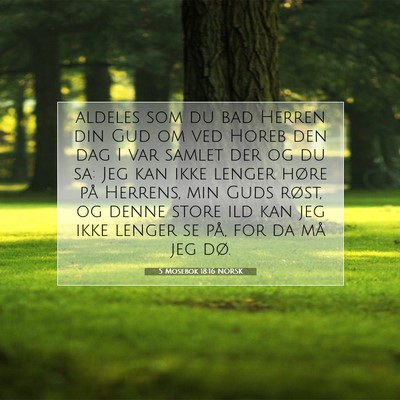 Picture 07 - 5 Mosebok 18:16 NORSK - aldeles som du bad Herren din Gud om ved Horeb - Bible Verse Picture