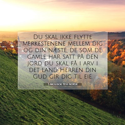 Picture 07 - 5 Mosebok 19:14 NORSK - Du skal ikke flytte merkestenene mellem dig og - Bible Verse Picture