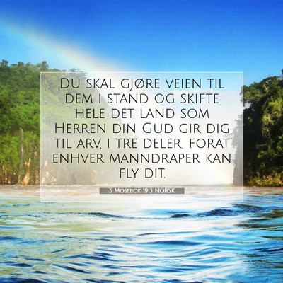 Picture 07 - 5 Mosebok 19:3 NORSK - Du skal gjøre veien til dem i stand og skifte - Bible Verse Picture