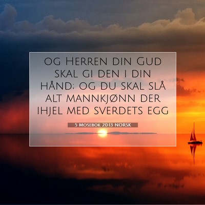 Picture 07 - 5 Mosebok 20:13 NORSK - og Herren din Gud skal gi den i din hånd; og du - Bible Verse Picture
