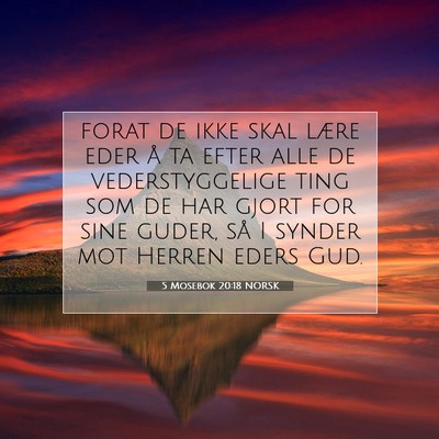Picture 07 - 5 Mosebok 20:18 NORSK - forat de ikke skal lære eder å ta efter alle de - Bible Verse Picture