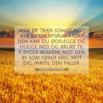 Picture 07 - 5 Mosebok 20:20 NORSK - Men de trær som du vet ikke bærer spiselig - Bible Verse Picture