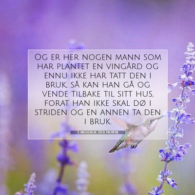 Picture 07 - 5 Mosebok 20:6 NORSK - Og er her nogen mann som har plantet en vingård - Bible Verse Picture