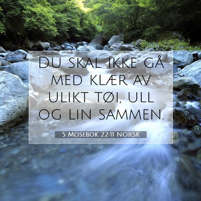 Picture 07 - 5 Mosebok 22:11 NORSK - Du skal ikke gå med klær av ulikt tøi, ull og - Bible Verse Picture