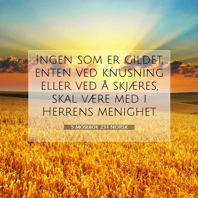 Picture 07 - 5 Mosebok 23:1 NORSK - Ingen som er gildet, enten ved knusning eller ved - Bible Verse Picture