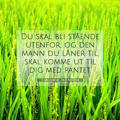 Picture 07 - 5 Mosebok 24:11 NORSK - Du skal bli stående utenfor, og den mann du - Bible Verse Picture