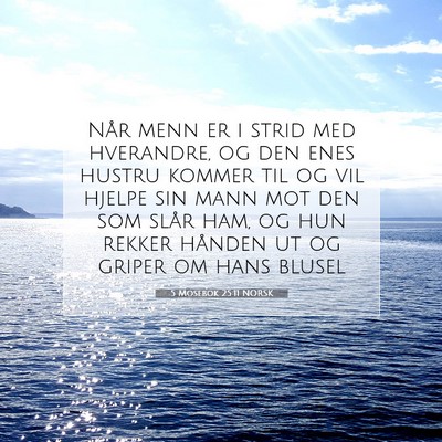 Picture 07 - 5 Mosebok 25:11 NORSK - Når menn er i strid med hverandre, og den enes - Bible Verse Picture