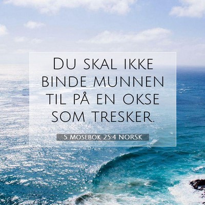 Picture 07 - 5 Mosebok 25:4 NORSK - Du skal ikke binde munnen til på en okse som - Bible Verse Picture