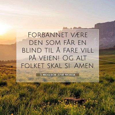 Picture 07 - 5 Mosebok 27:18 NORSK - Forbannet være den som får en blind til å fare - Bible Verse Picture