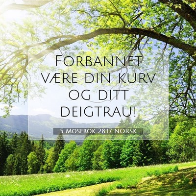 Picture 07 - 5 Mosebok 28:17 NORSK - Forbannet være din kurv og ditt - Bible Verse Picture