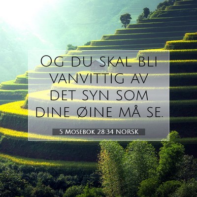 Picture 07 - 5 Mosebok 28:34 NORSK - Og du skal bli vanvittig av det syn som dine - Bible Verse Picture