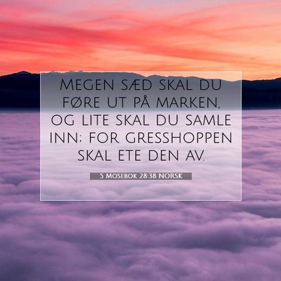 Picture 07 - 5 Mosebok 28:38 NORSK - Megen sæd skal du føre ut på marken, og lite - Bible Verse Picture