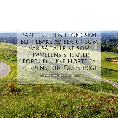 Picture 07 - 5 Mosebok 28:62 NORSK - Bare en liten flokk skal bli tilbake av eder, I - Bible Verse Picture
