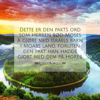 Picture 07 - 5 Mosebok 29:1 NORSK - Dette er den pakts ord som Herren bød Moses å - Bible Verse Picture