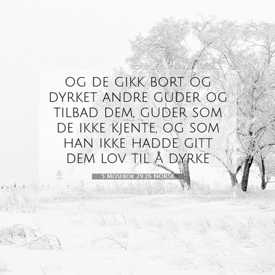 Picture 07 - 5 Mosebok 29:26 NORSK - og de gikk bort og dyrket andre guder og tilbad - Bible Verse Picture