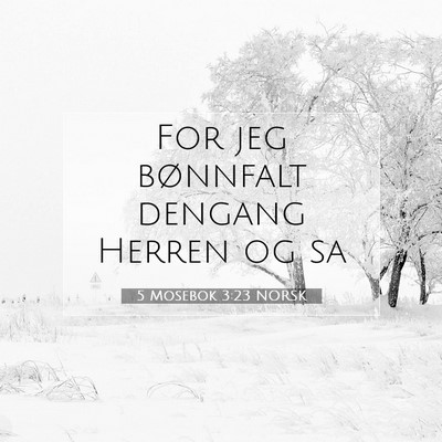 Picture 07 - 5 Mosebok 3:23 NORSK - For jeg bønnfalt dengang Herren og - Bible Verse Picture