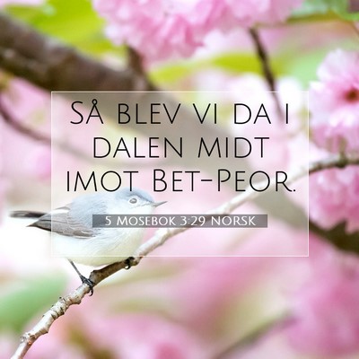 Picture 07 - 5 Mosebok 3:29 NORSK - Så blev vi da i dalen midt imot - Bible Verse Picture
