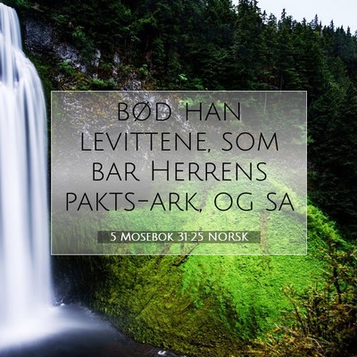 Picture 07 - 5 Mosebok 31:25 NORSK - bød han levittene, som bar Herrens pakts-ark, og - Bible Verse Picture