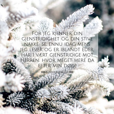 Picture 07 - 5 Mosebok 31:27 NORSK - For jeg kjenner din gjenstridighet og din stive - Bible Verse Picture