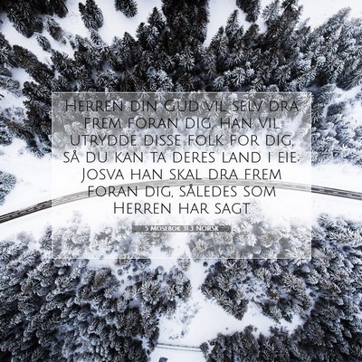 Picture 07 - 5 Mosebok 31:3 NORSK - Herren din Gud vil selv dra frem foran dig, han - Bible Verse Picture