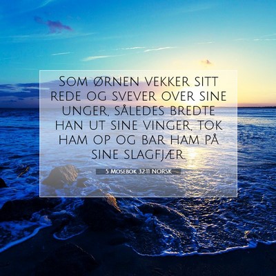 Picture 07 - 5 Mosebok 32:11 NORSK - Som ørnen vekker sitt rede og svever over sine - Bible Verse Picture